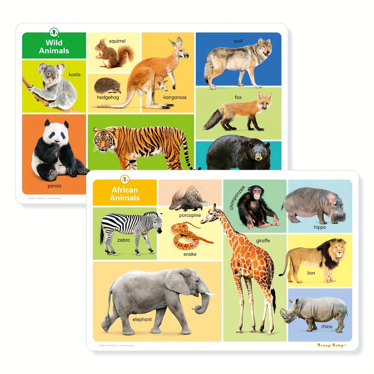 1 box of 12 English enlightenment reading materials for children and toddlers, recognizing animals, colorful pictures, large cards, sensory cards, stimulating brain and memory development