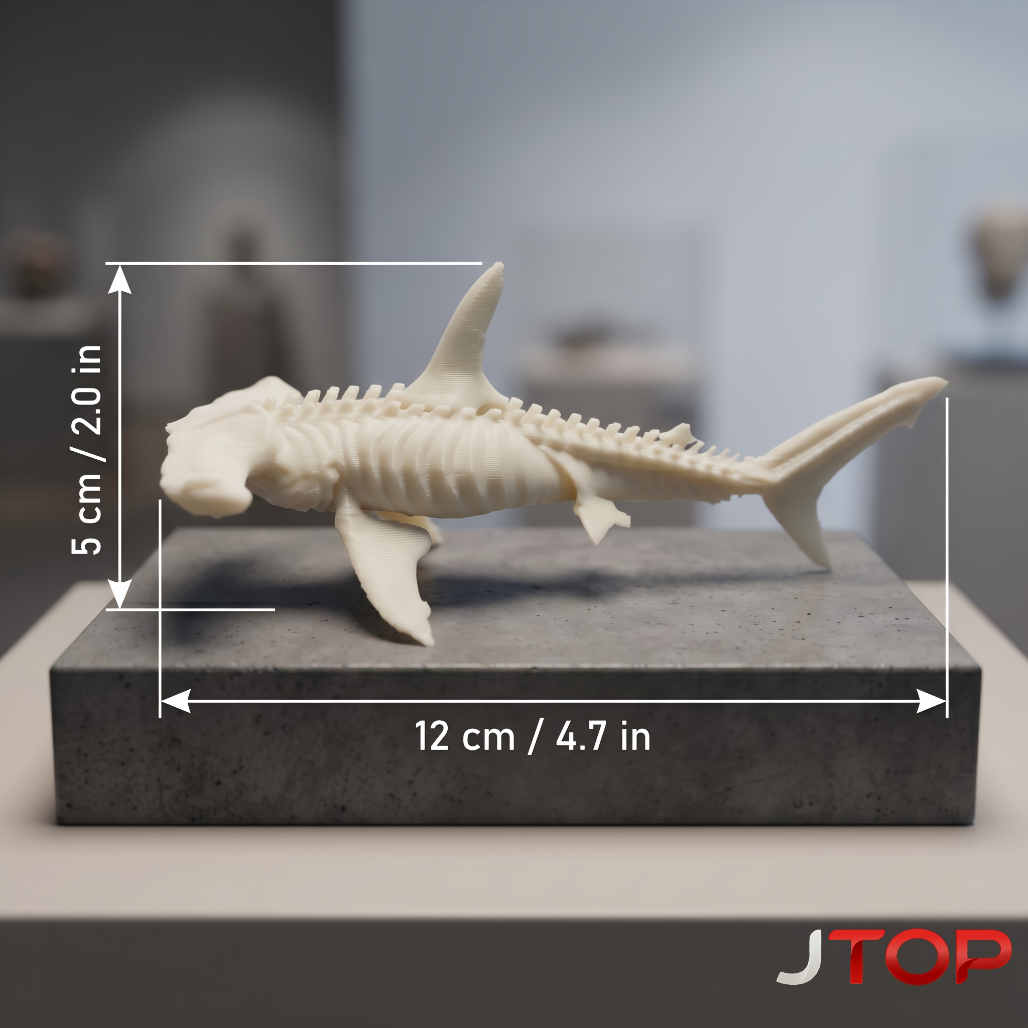 TEMU Shark Skeleton Model - Realistic Shark Bone Display Suitable For Home Office Decor, Museum Style Tabletop Collection Gift For Ocean Biology