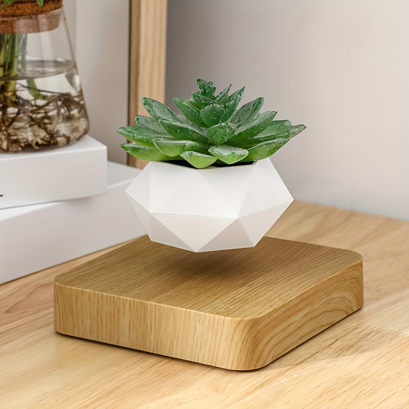 

Magnetic Levitation Plant Pot Home Decoration Floating Best For Wedding Halloween Christmas Party Birthday