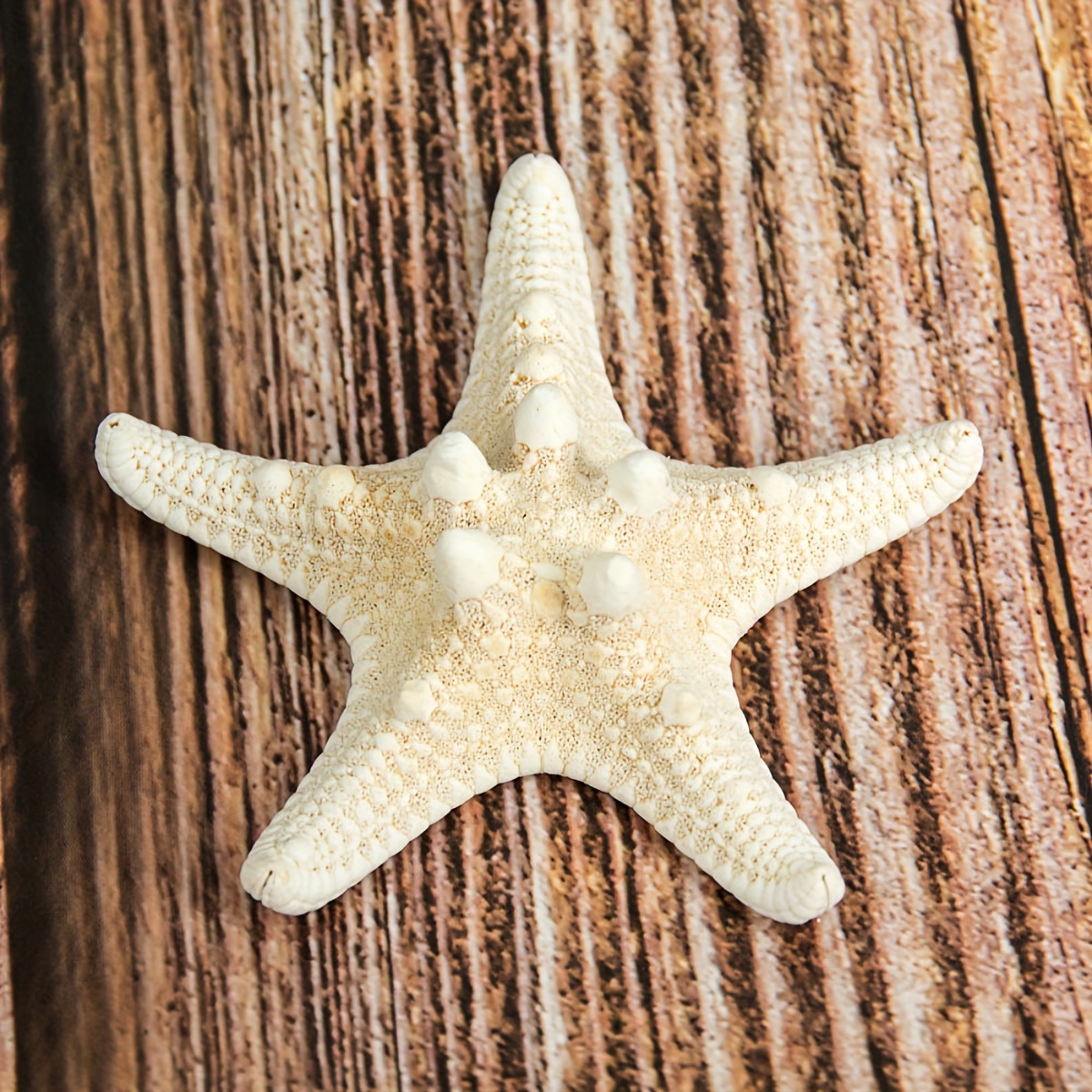 

Bread Starfish Conch Toys Home Decoration Crafts Used For Window Decoration/aquarium Scenery/diy Souvenirs/desktop Landscape/photography Props 5-8cm/pc, 5in A Pack