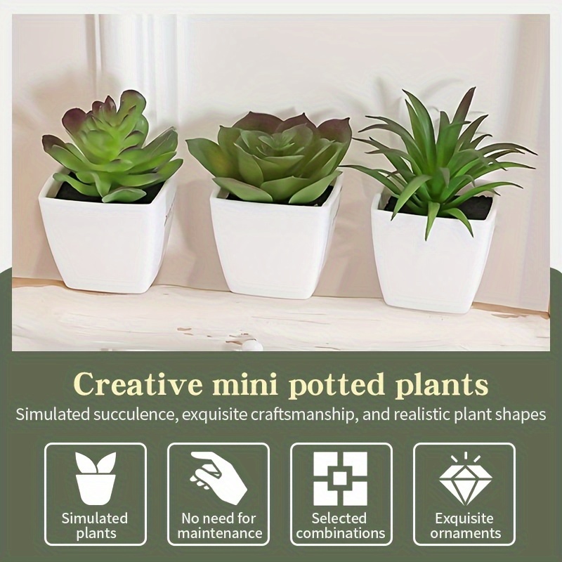 Plantas suculentas artificiales 3 piezas mini macetas de vidrio