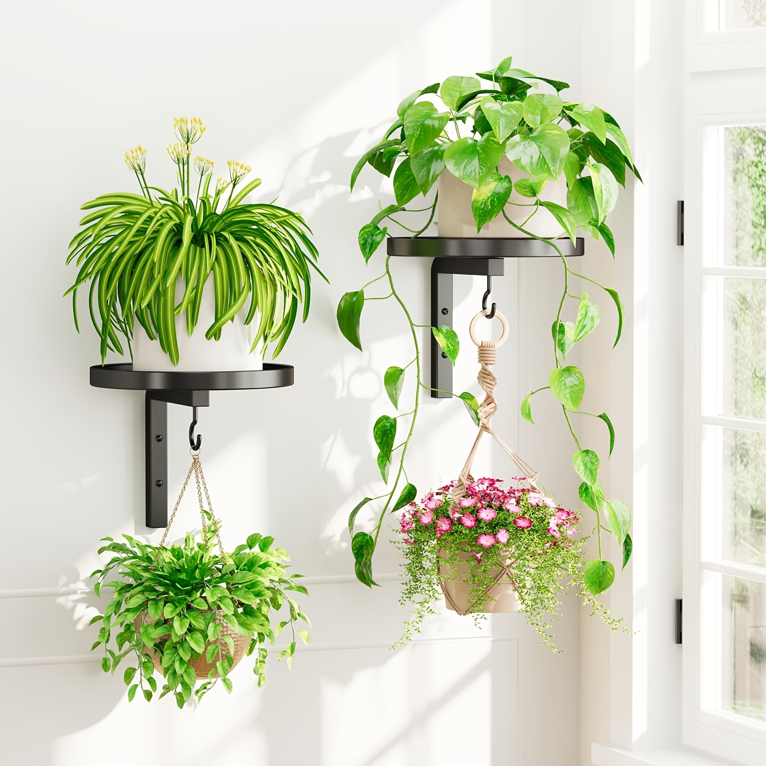 TEMU Lot de 2 étagères murales porte-plantes, supports de fenêtre en métal pour plantes, présentoir à fleurs moderne pour décoration extérieure de