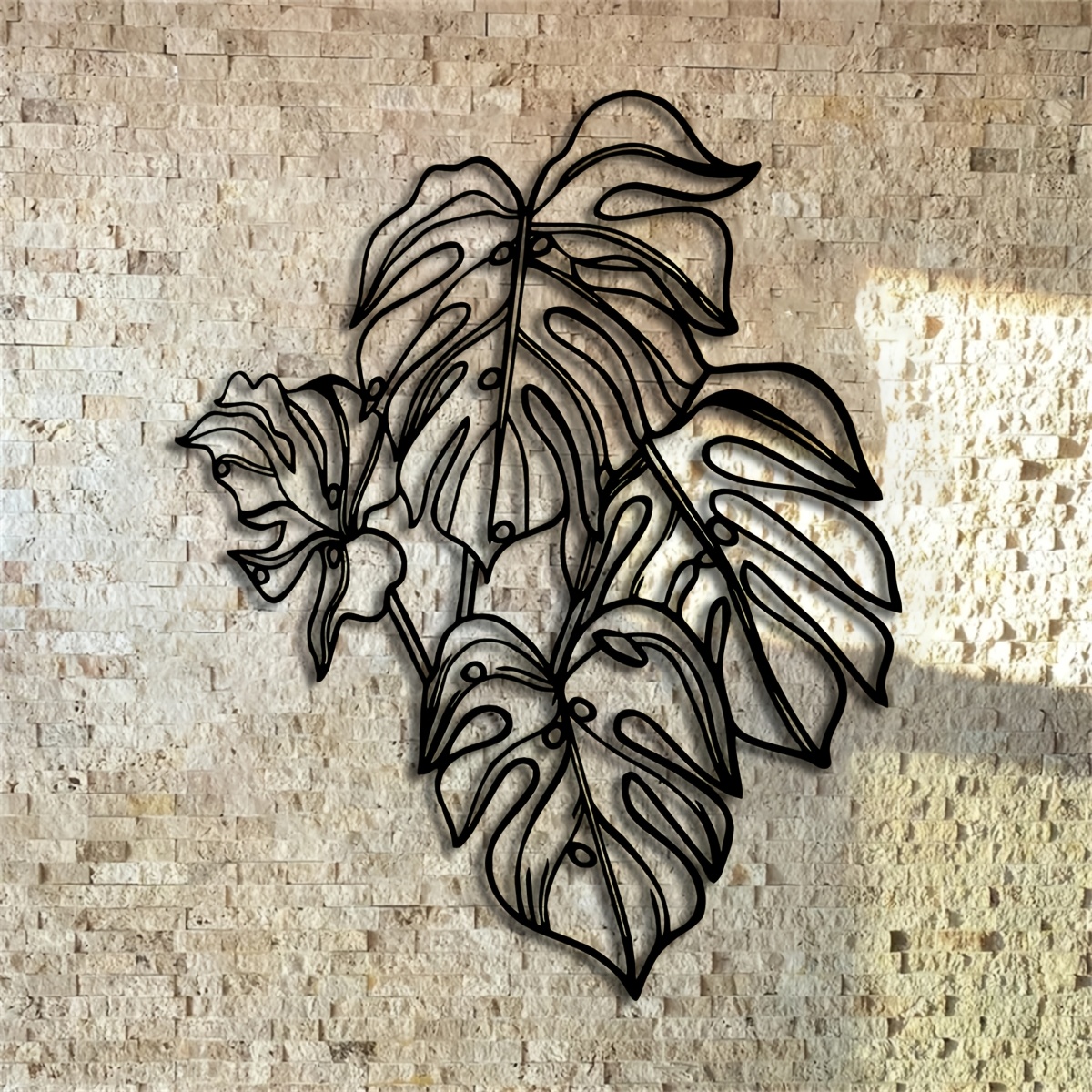 monstera verkaufen Monstera 'Thai Constellation' kaufen