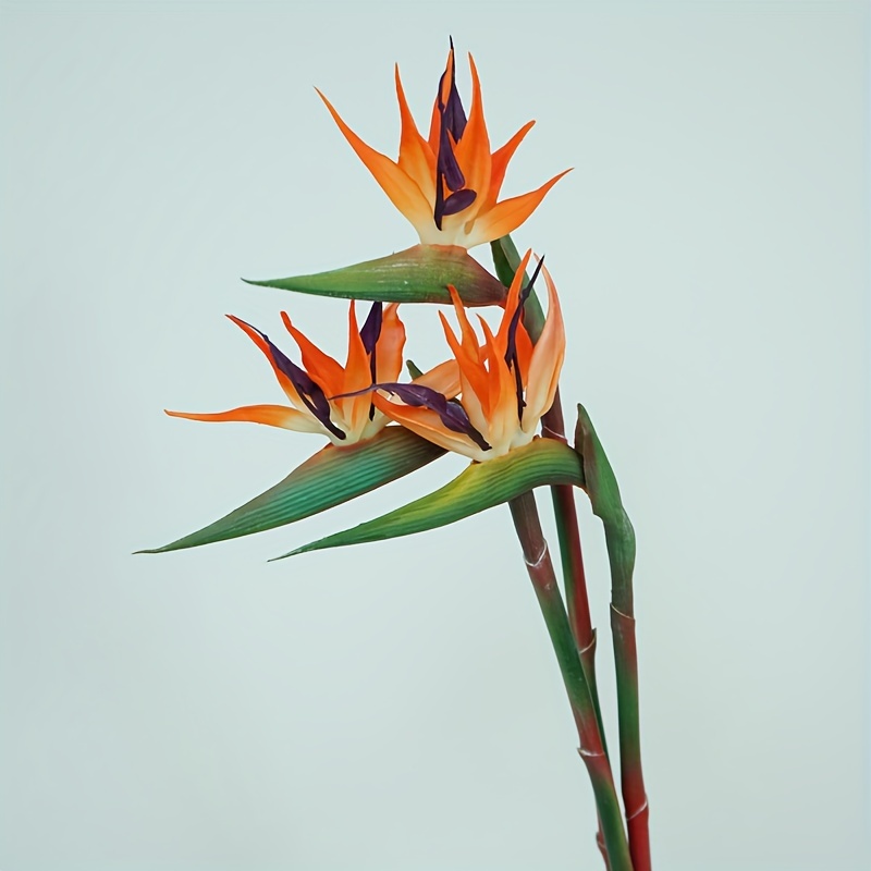 TEMU Haoshics 3pcs Set Of Lifelike Bird Of Paradise Flowers - Strelitzia Silk Plants For Home, Office, And Wedding Table Centerpieces