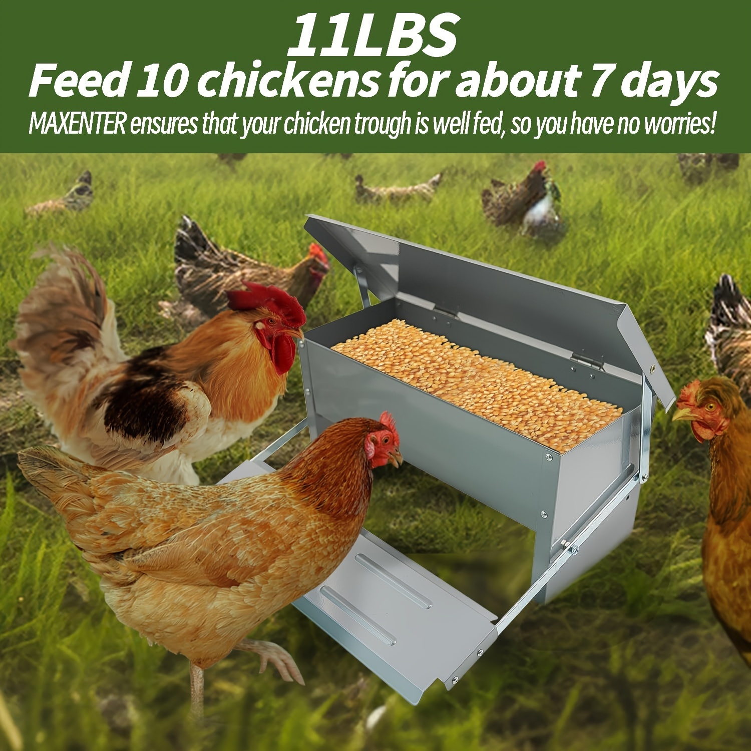 

Feeder Automatic Chicken Feeder-long-lasting Galvanized Poultry Feeder-metal Feeder Kit For Ducks, Bantam, Pheasants, No Rat Leakage, With Rain Cover