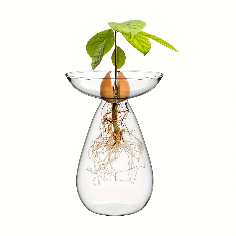 

1pc Creative Avocado Seed Vases, Avocado Vases Grow Glass Avocado Seed Vases Avocado Garden Vases Aqua Vases Avocado Seed Avocado Tree Growing Kit For Gardening Lovers