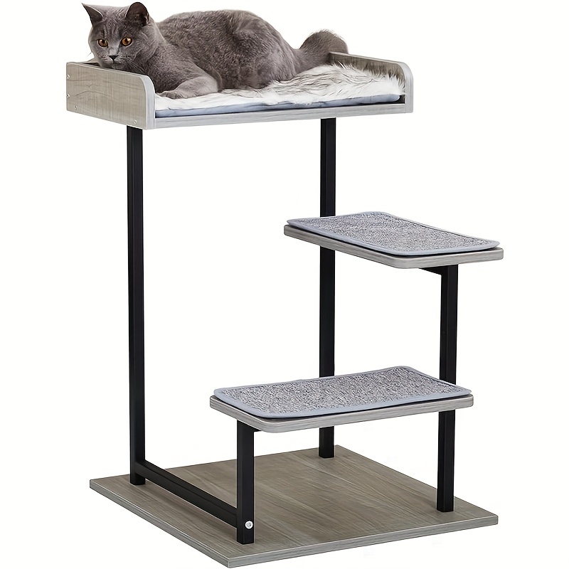 

27 Cat , Small Cat For , - Activity Top , 3 , And