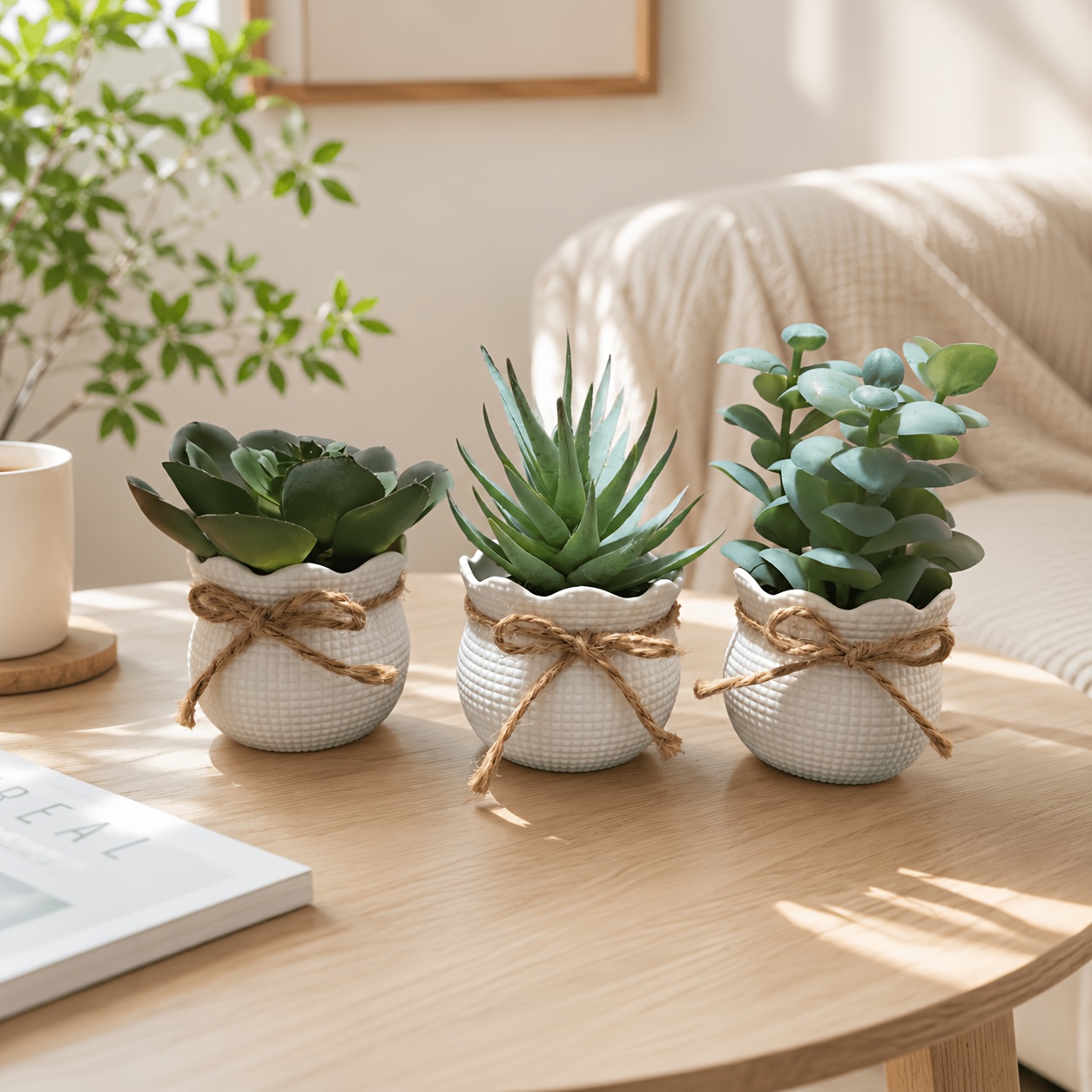 Image of 3pcs Mini Artificial Succulent Combination Pot With Hemp Rope Decoration, Maintenance-free, Ideal For Desktop Decoration In Home, Office, Hotel, Photography And More