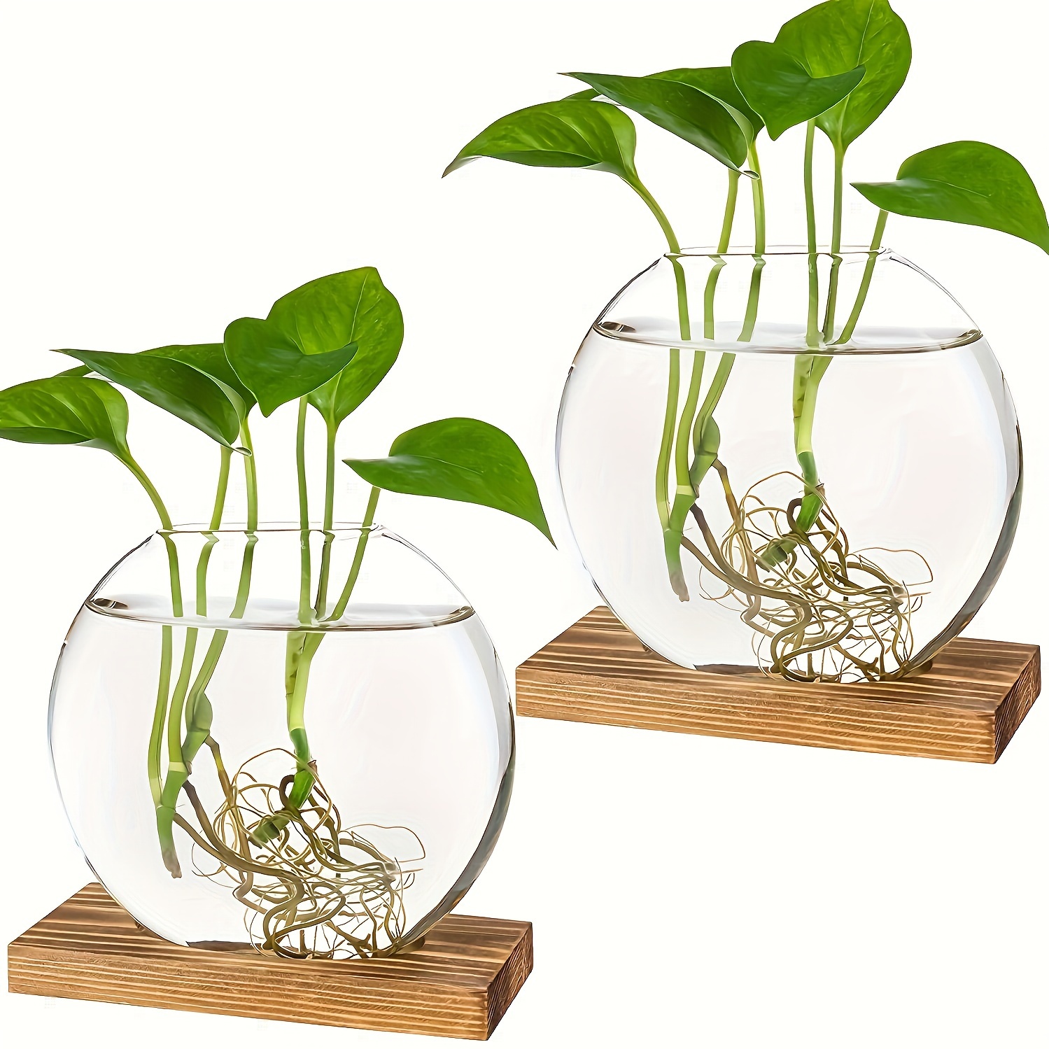 

2pcs Round Glass Terrarium Planters With Wooden Stand - Waterproof, Ideal For Propagation & Hydroponic Plants, Perfect For Home Or Office Decor