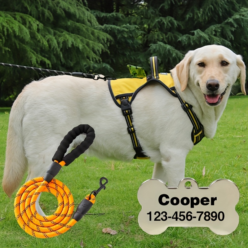 Customizable 2pcs Vest-Style Harness and Leash Set for Dogs