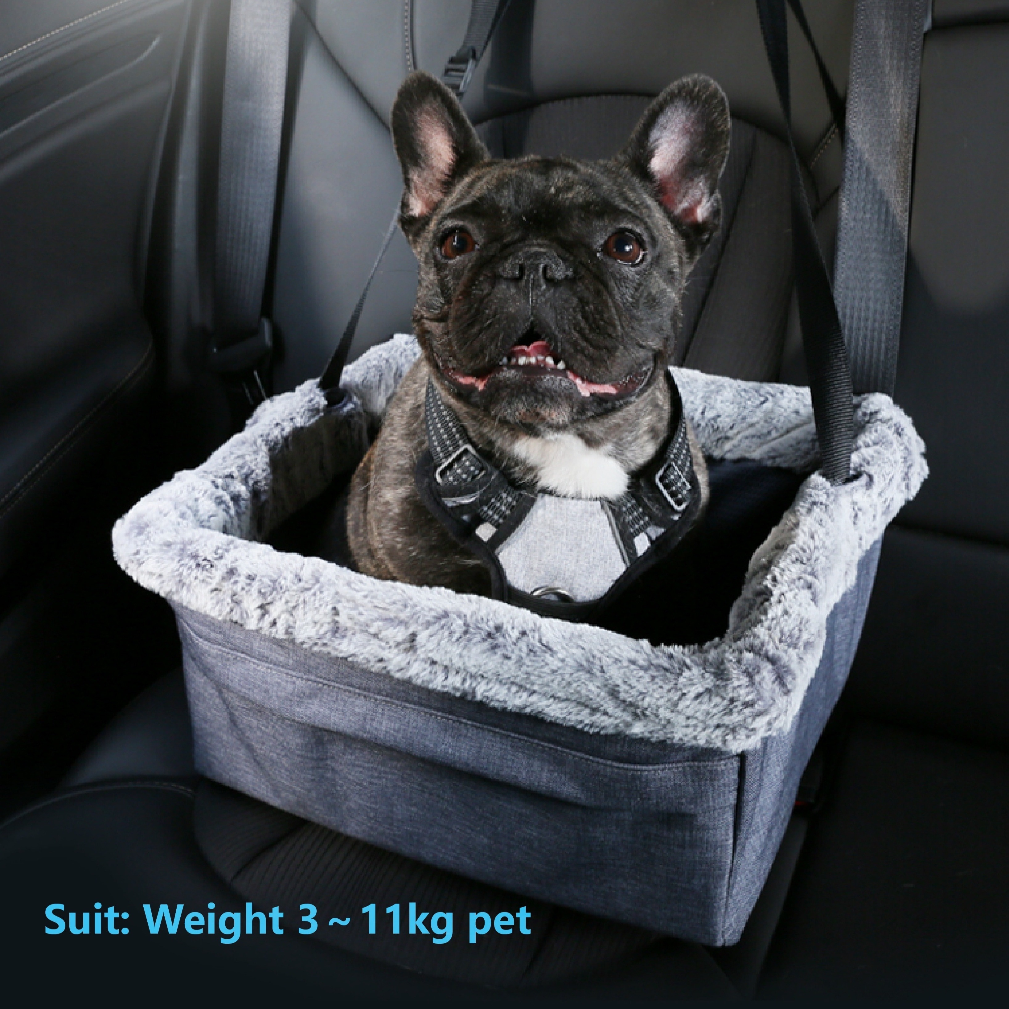 Pet Car Seat Basket Soft Plush and Durable Oxford Cloth Dog Travel  Carrier with Safety Strap, Washable Fabric, Non-Slip Base for Small Dogs  and Cats