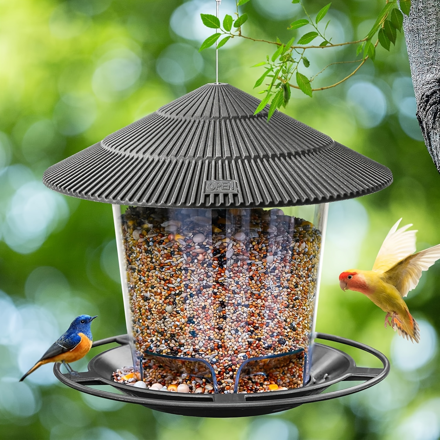 Nombre: Comedero colgante minimalista para pájaros de jardín al aire libre, popular comedero automático para colibríes para aves silvestres