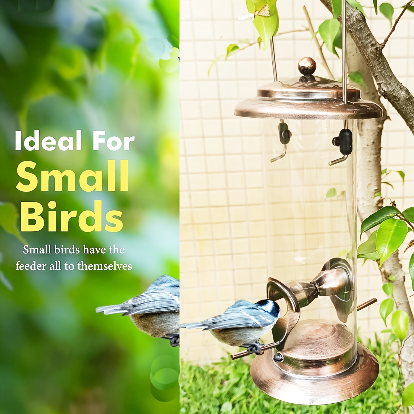 

Feeder For Small - 1 , Hanging Feeder, Duty Iron Alloy, , 2 Metal , For Mix Seed , 8 Pc - For Feeding