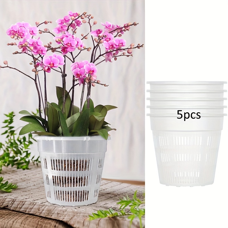 5pcs orchid pots exhaust holes transparent orchid pots - Temu