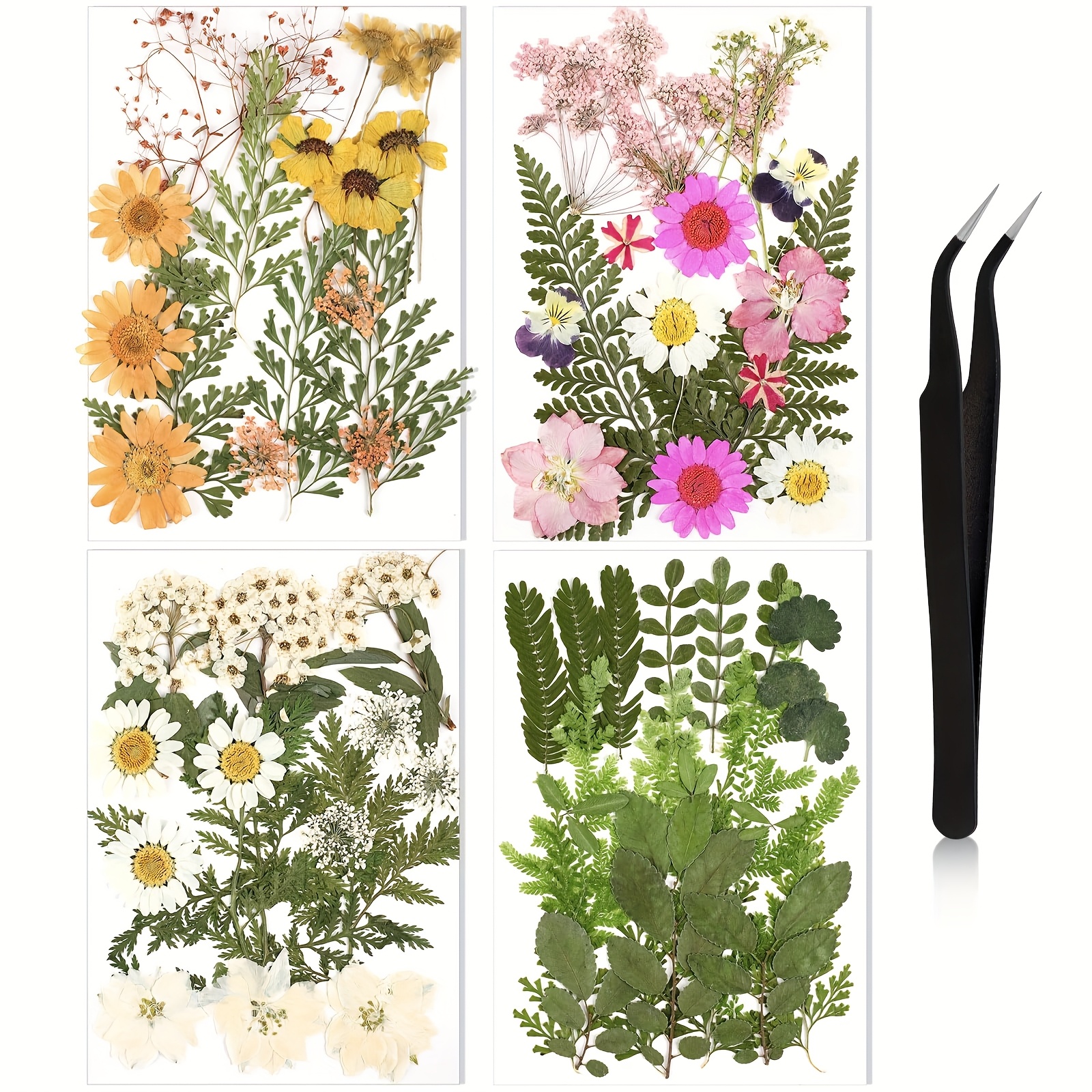 TEMU Colorful Collection Of Dried And Foliage - -themed Crafting Set For Creative Scrapbooking, Resin Art, Stylish Bookmarks, Projects, Phone , And