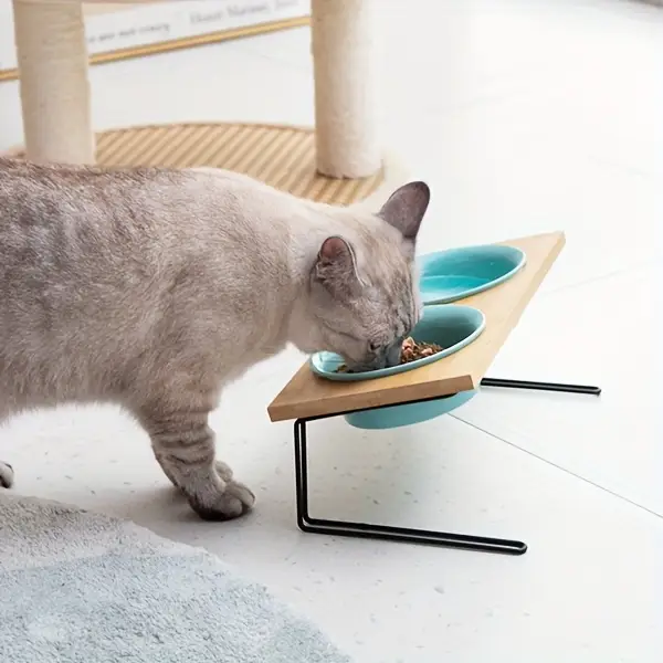 ceramic elevated cat bowls small dog bowls 15 tilted raised pet bowl with solid wooden stand to protect spine water and food feeder for cat and dog pack of 2 Product details 1