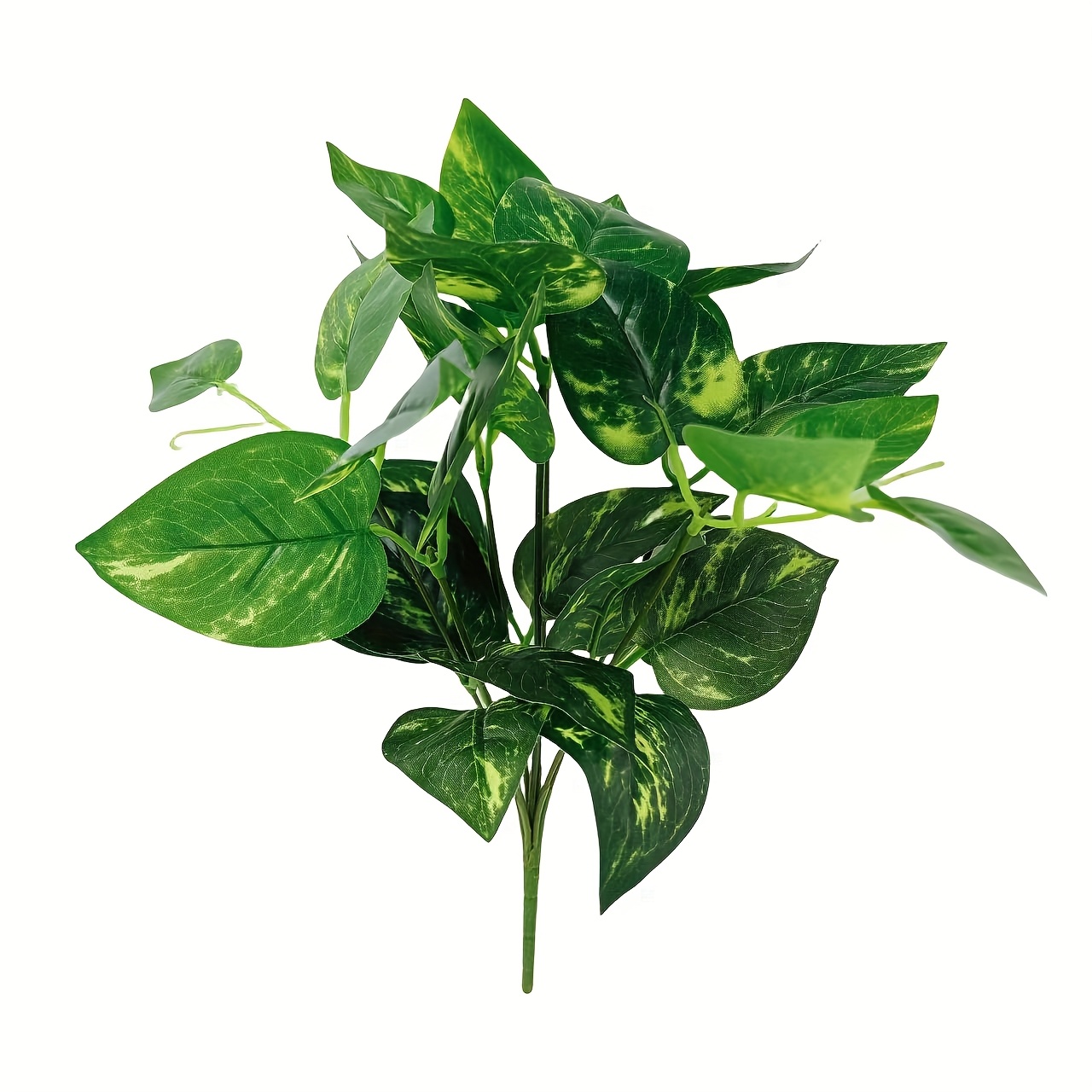 Efe29eac 145a 4ccb 9447 Bc99ca429460 Efe29eac 145a 4ccb 9447 Bc99ca429460