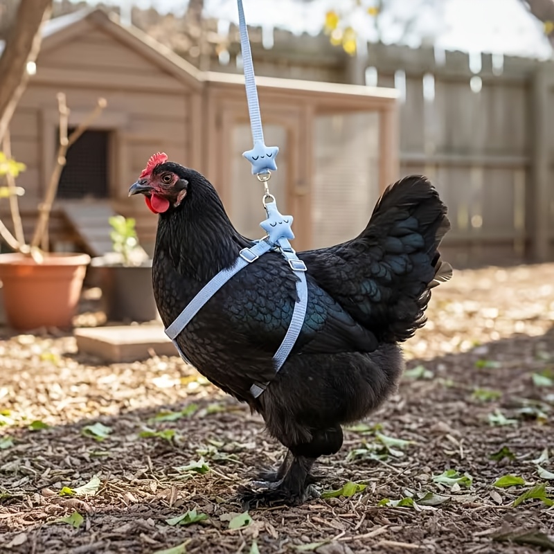 TEMU Chicken And Duck Leash Set, Adjustable Nylon Waterfowl Dog Leash, Anti-escape Poultry Training Vest, Suitable For Geese, , Hens, Outdoor Pet
