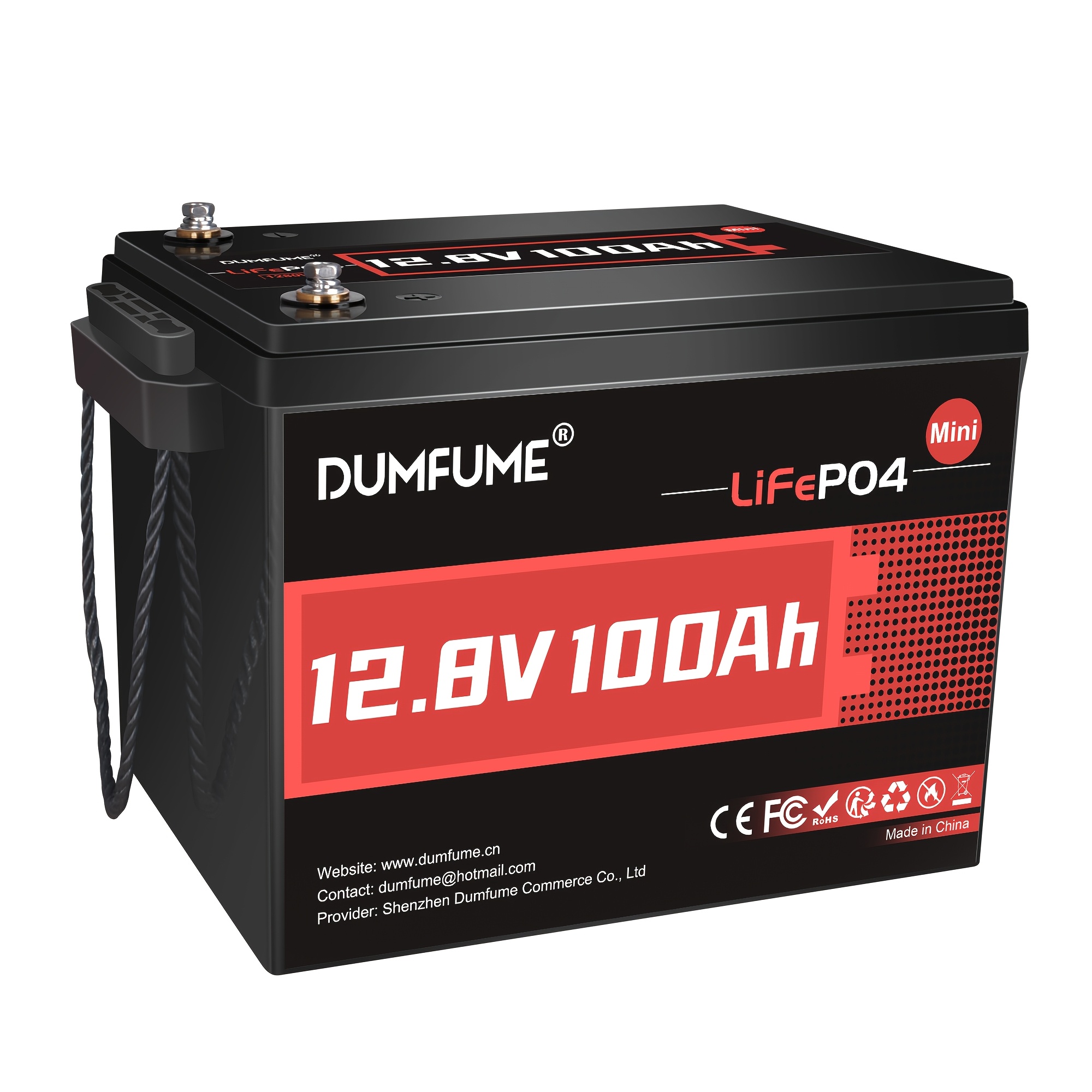 TEMU Batterie Lithium LiFePO4 12V 100Ah, BMS 100A Intégré, 1280Wh, Jusqu'à 6000 Cycles, Durée de Vie de 10 Ans, Parfaite pour Camping-cars, Systèmes