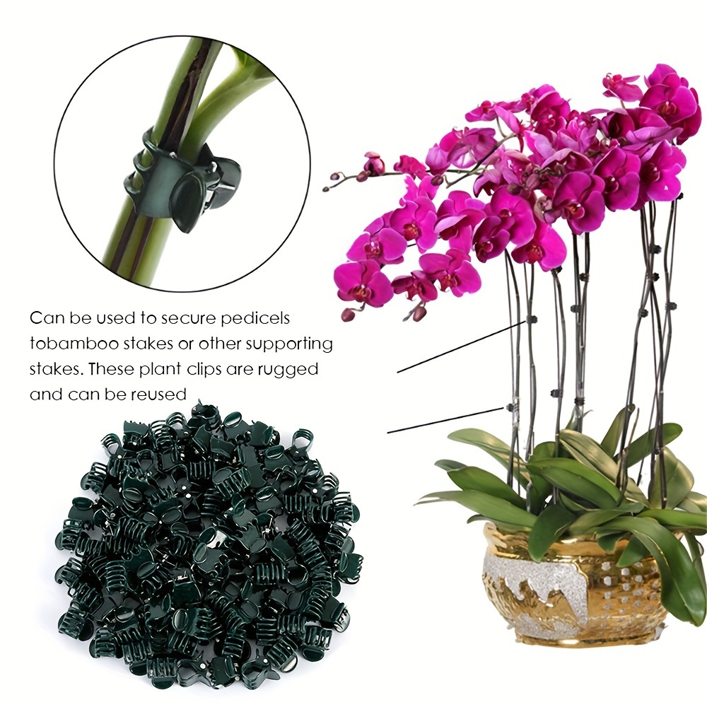 

Lot de pièces, Attaches de support pour plantes de jardin, Pinces pour orchidées pour fixer les tiges, et les tiges, Clips en plastique de 0.59 pouce pour les plantes grimpantes, Réutilisables, Vert