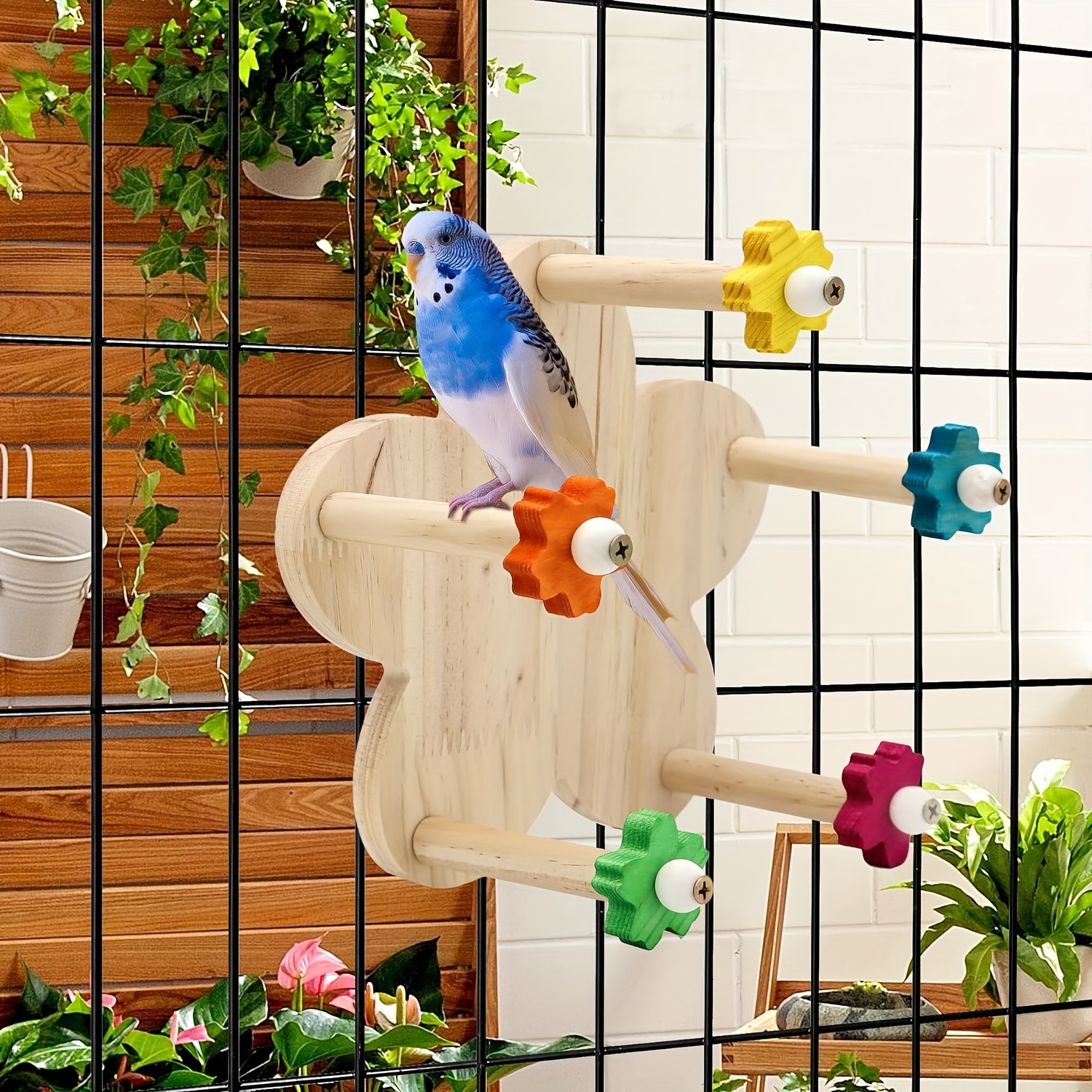 Budgie Toys - Temu