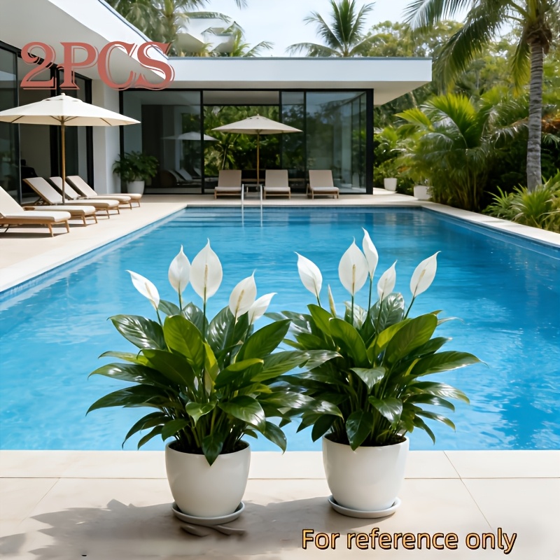 TEMU 2pcs Large Artificial Peace Lily Plants, White Greenery, Realistic 12-heads White With Green Leaves, Ideal For Outdoor& Table Center Decor,