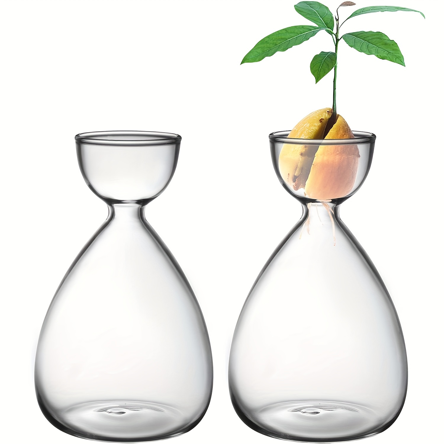 

2pcs Small Avocado Seed Glass Vase, Avocado Tree Growth Kit, Hydroponic Vase, Home Decoration, Kitchen, Office Windowsill Decoration