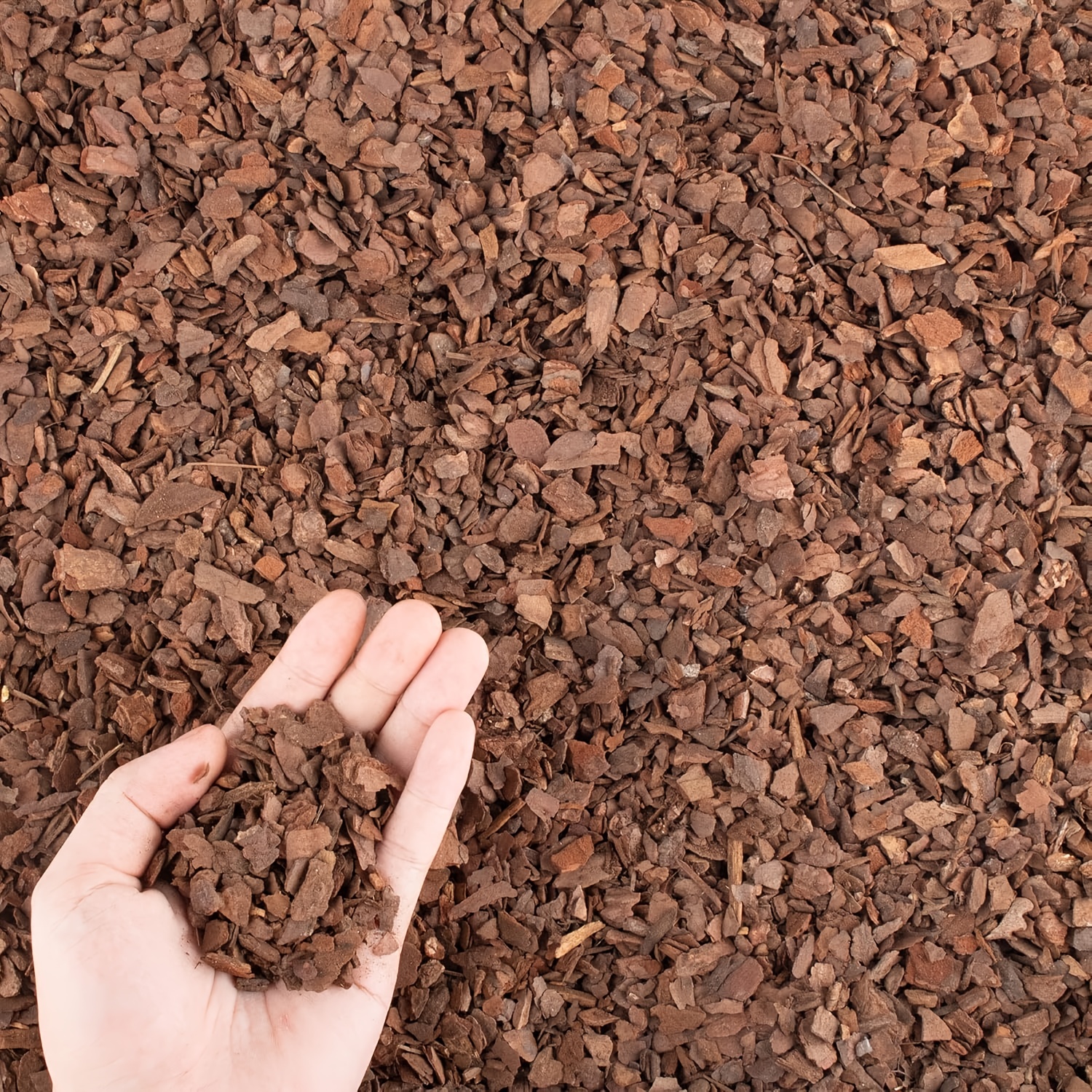 10oz Orchid Bark Mulch, Suitable For Orchid Pots, Gardening & Lawn Care