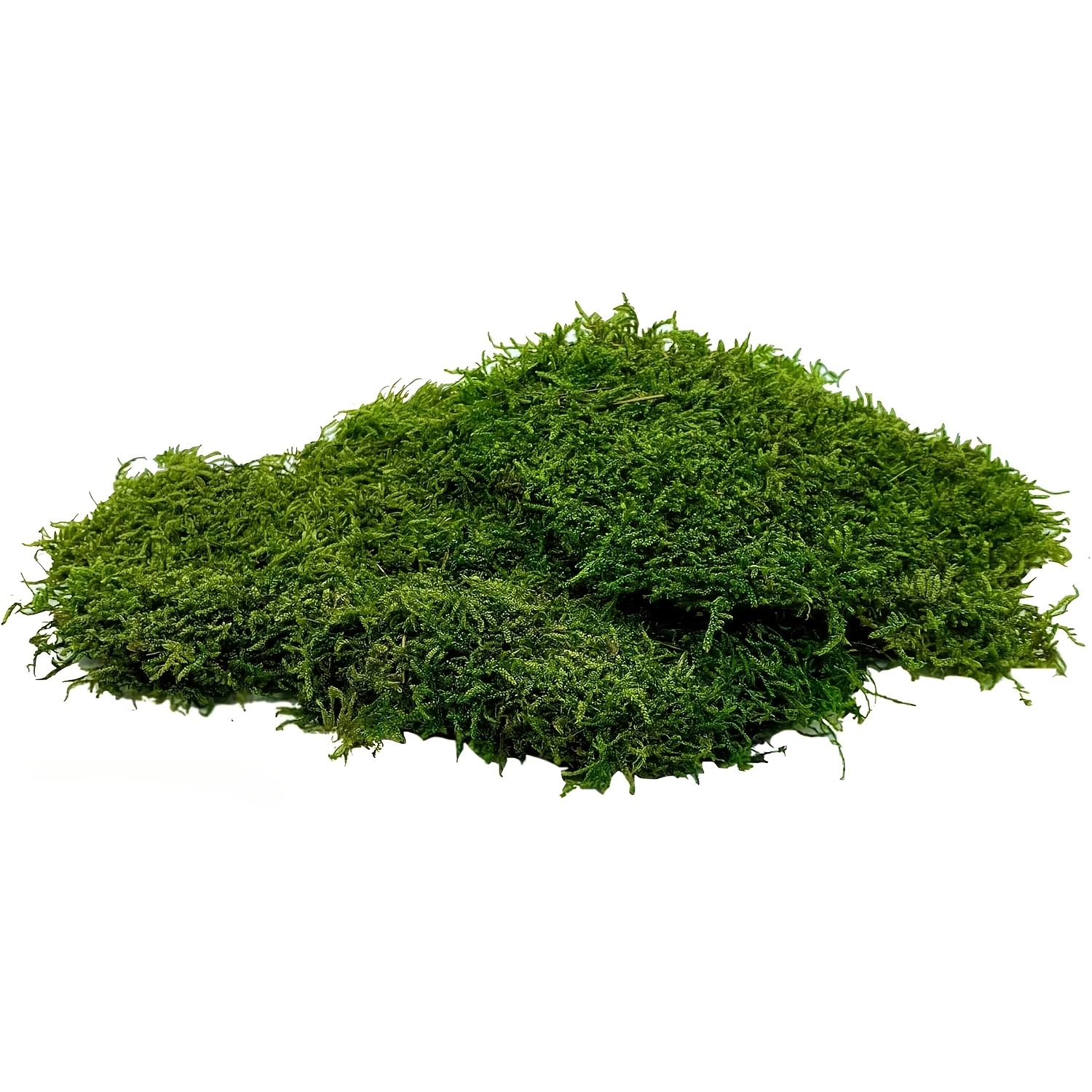 Image of Moss Plates - Preserved Flat Moss For Crafts, Decoration & Diy, Ideal For Artificial Pictures, Plant Wall, Art, Terrarium, Christmas (crib, Advent Wreath) And Easter (grass ) (55g)