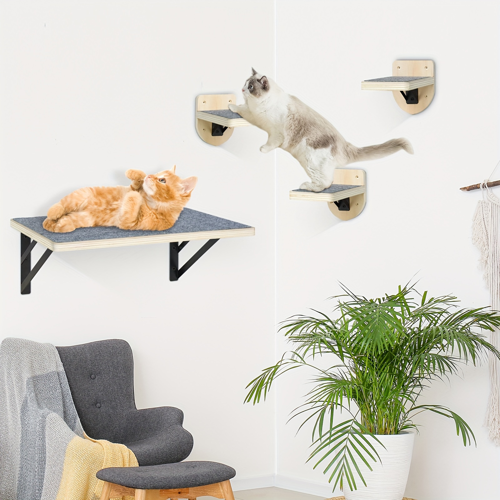 

Cat Shelves 3 , Cat , Cat Shelves And For , Mounted Cat Shelves And , Cat Cat Scratching For Sleeping, Playing,