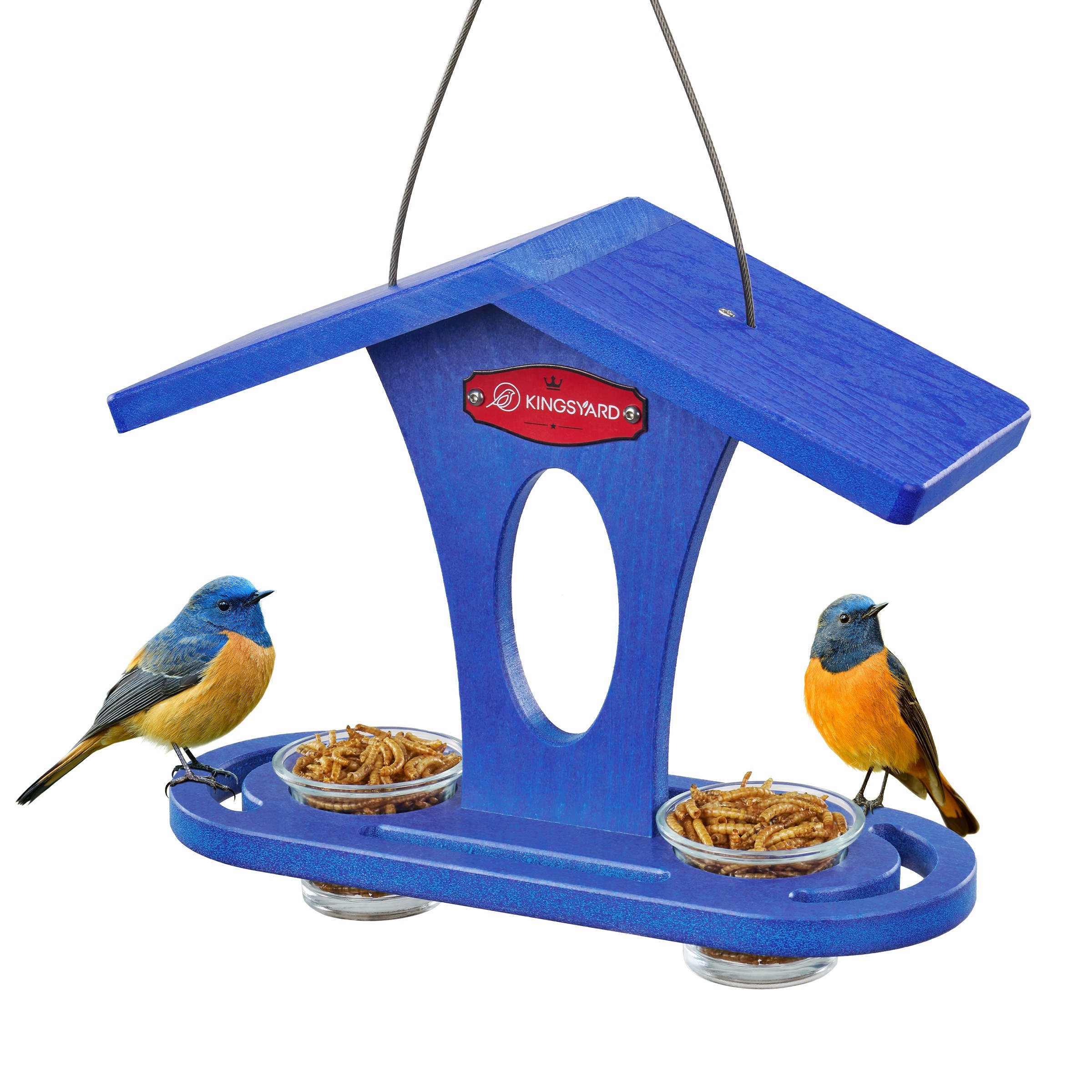 

Kingsyard Bird Feeder For Outdoor Hanging, Recyceled Plastic Jelly Feeder, 2 Dishes W/ 5 Oz, Durable & Weatherproof, For Bird Lovers