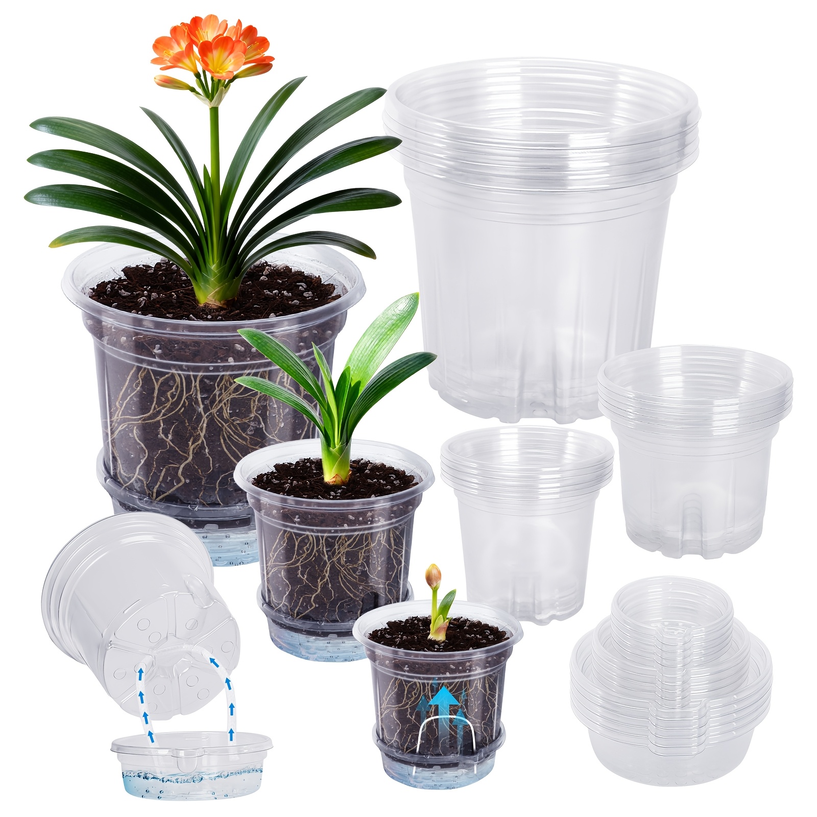 TEMU Lot de 15 pots de plantation transparents à auto-arrosage de 6,5/5/4 pouces | Comprend un bac d'arrosage inférieur et une corde d'arrosage, pots