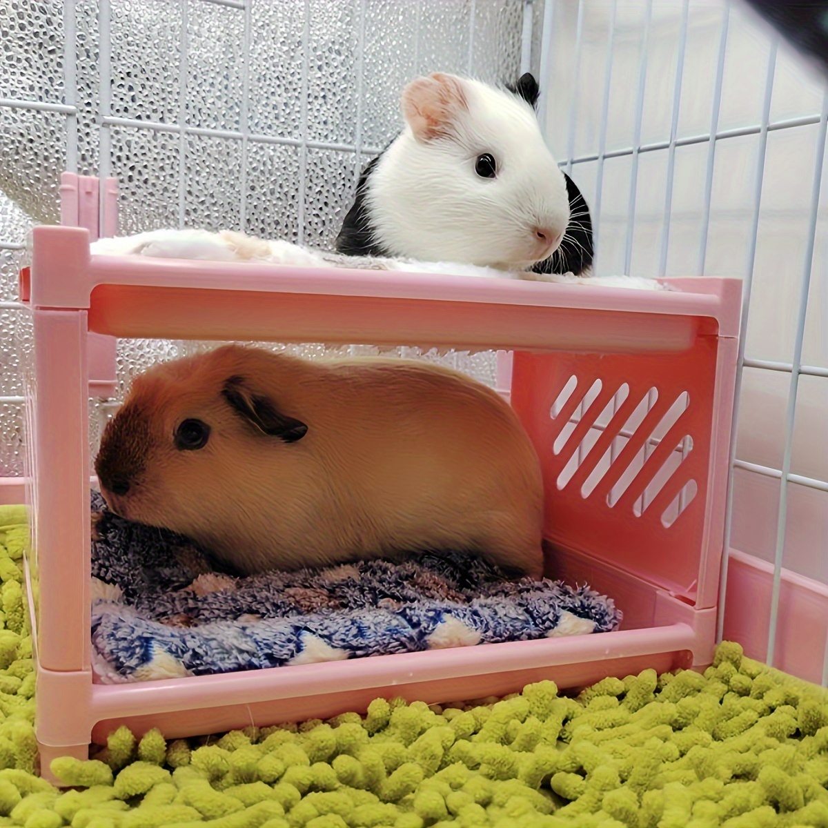 

-to-install Double- Guinea Pig Bed - Comfortable Plastic For Lounging Area