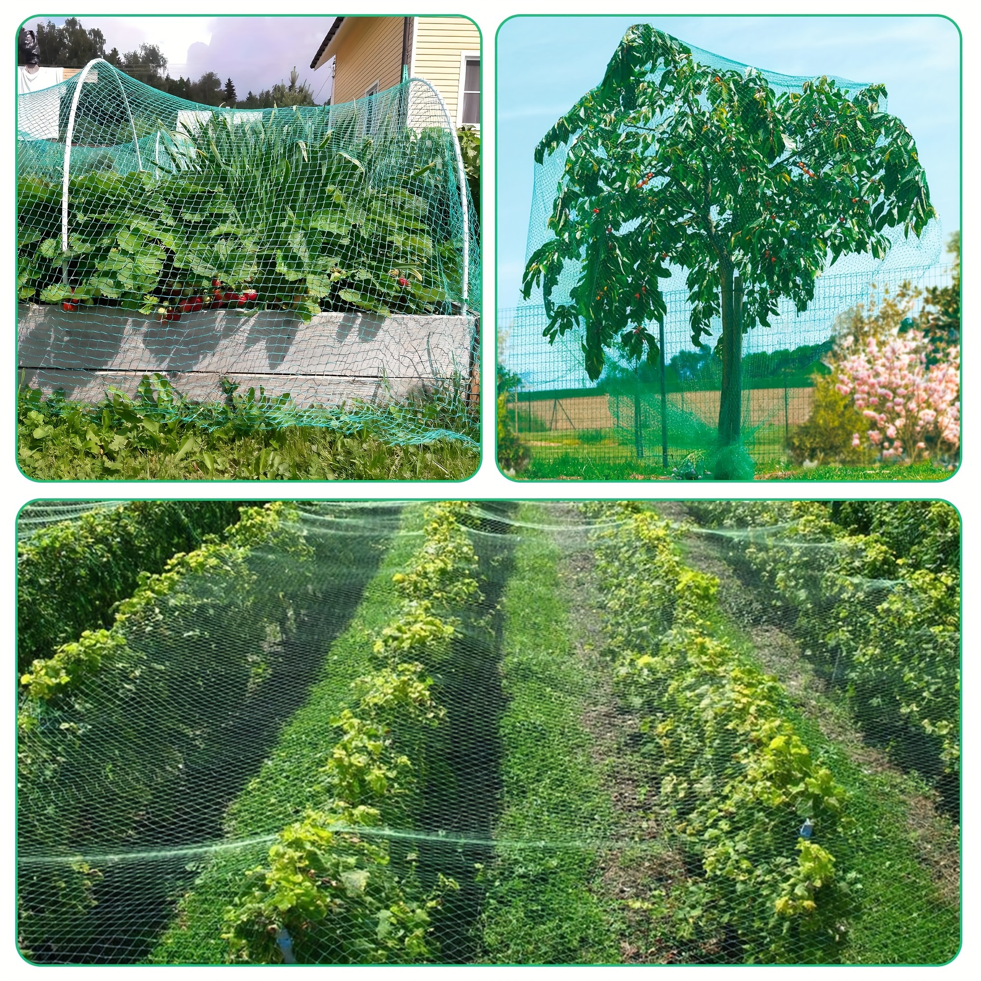 градинарска мрежа за птици, градинарска мрежа за заштита на овошје и зеленчук, цврста мрежа за птици градинарска ограда мрежа за растенија мрежа за кокошки мрежа за 2x8 , градинарска мрежа за птици за заштита на зеленчукови растенија и овошје, пластична мрежеста мрежа, погодна за птици Детали за производот 3
