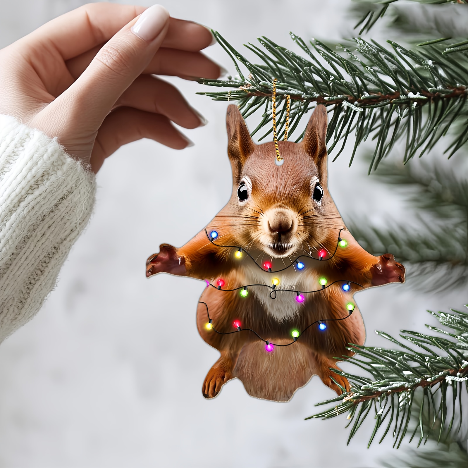 

1pc Acrylic Ornament With Lights - Double-sided, Tree Decoration & Keepsake Gift For Family, Friends & Squirrel Enthusiasts - Ideal For & Party Decor, Christmas Decor