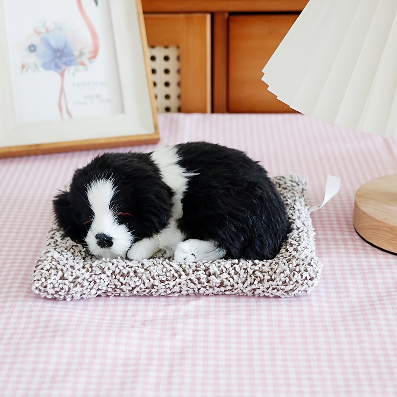 Doggie Daycare Willowcreek Ranch Dog Boarding Dougals Doggy Daycare - Main Image