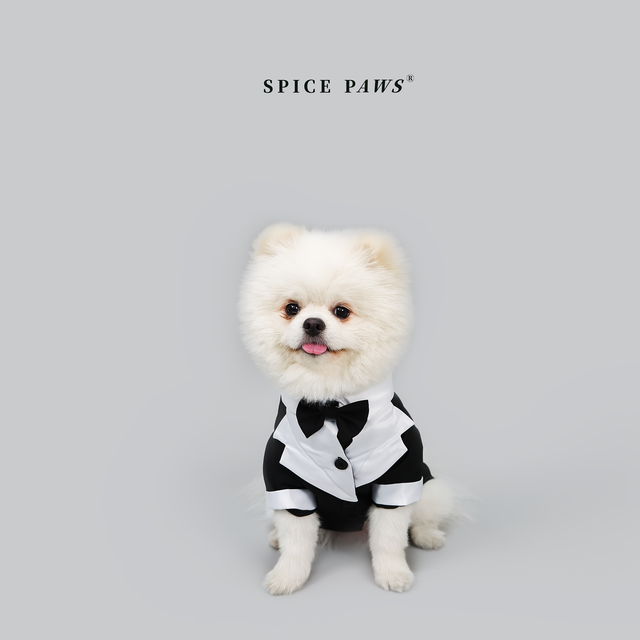 Corbata Trajes De Boda Para Perros Trajes Para Perros Grandes