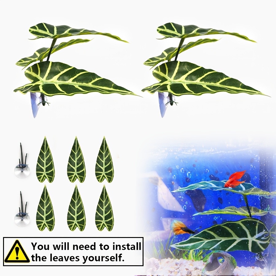 TEMU Cama Flotante para Peces Betta, Ideal para Cría, en y Descanso, para Acuarios Grandes y para