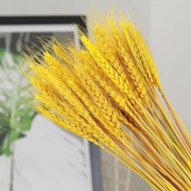 TEMU 74pcs Artificial - Stalks, Plastic . Suitable For Table Centerpieces, Used For Weddings, Fall Parties, Halloween, Easter, New Year Decorations -