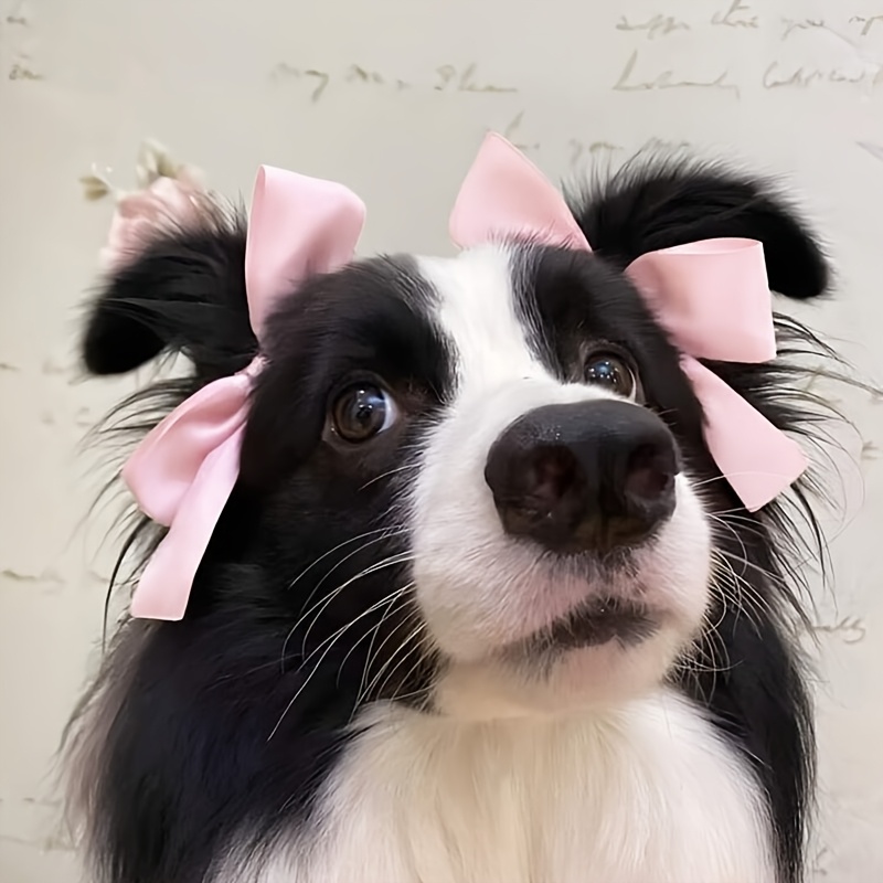 TEMU 2 pezzi Fiocchi per cani con fermagli, accessori per abbigliamento per cuccioli, , gattini e , per di cani di taglia