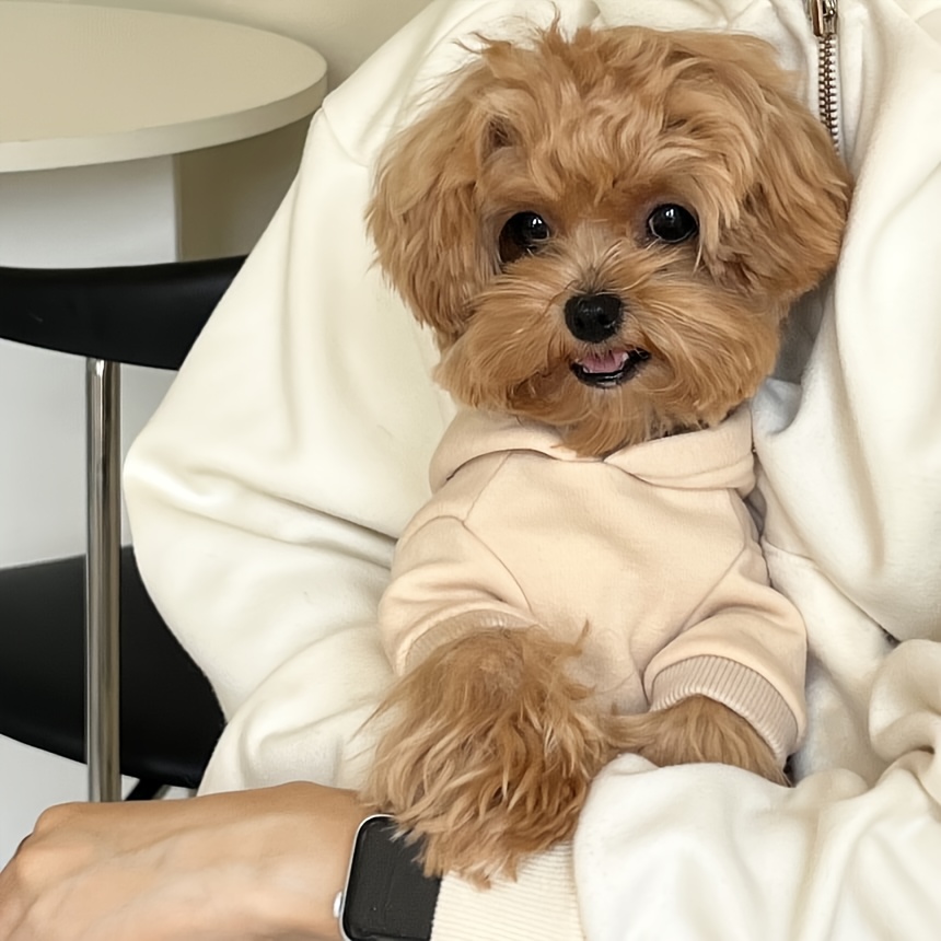 new autumn winter   hoodie versatile sweatshirt teddy pomeranian bichon schnauzer pet small dog clothes Product details 2