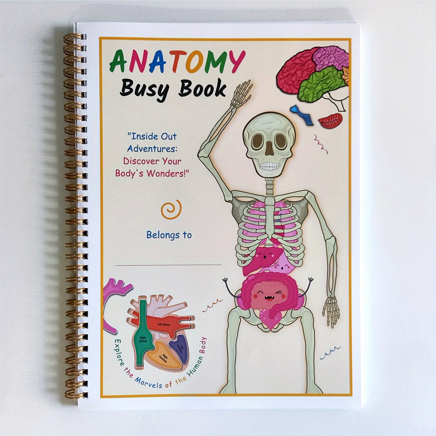 

- Anatomy Busy Book - Interactive Organ Matching Activity, Unlocks Of , Ideal For Use