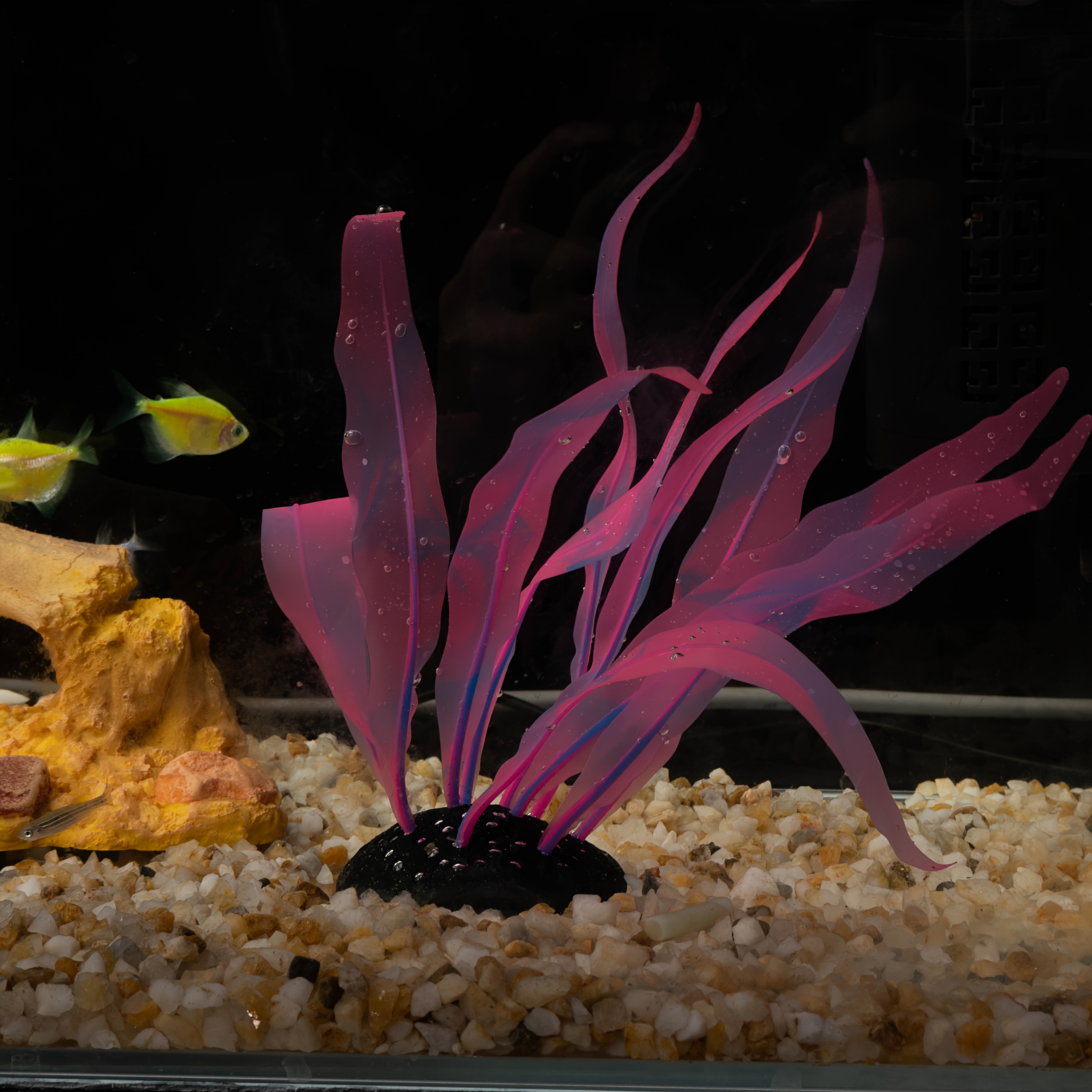 Image of Artificial Seaweed For Aquariums That In The Water, Movement And A Aesthetic