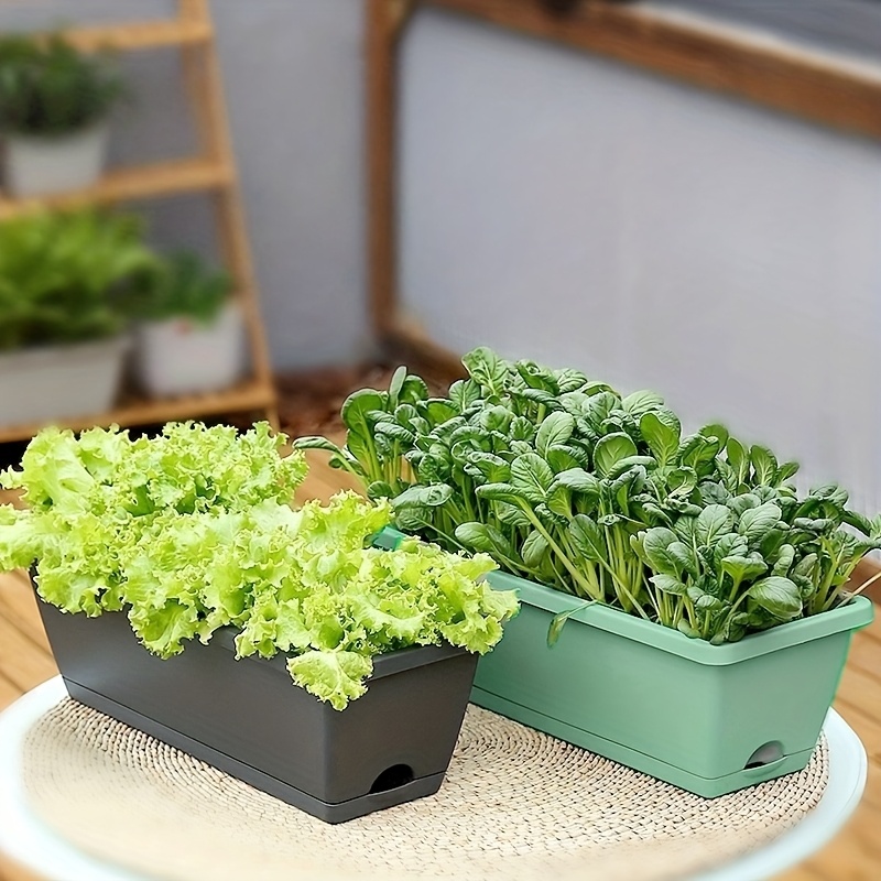 flower planter box window Ghana