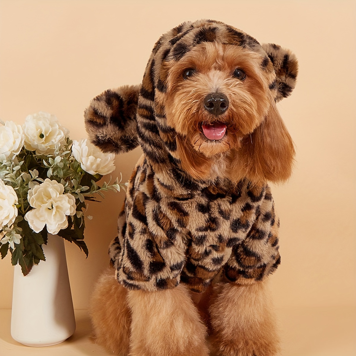 

Hooded Pet For Small To - / ,