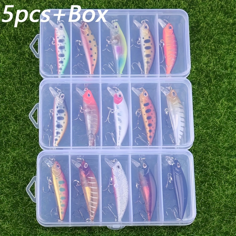 minnow lure sold on Temu United States