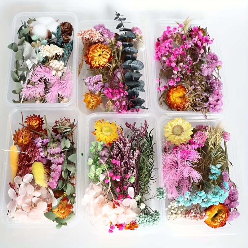Preserved Flower DIY Kit with 8-10 Flower Types, Photo Frame, Candle, Aromatherapy, Soap, Straw Hat Materials, Gift Set