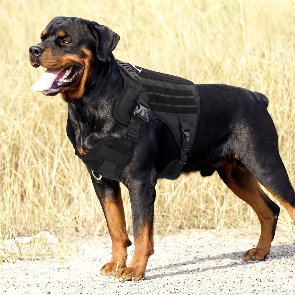 Water-Resistant Dog Harness