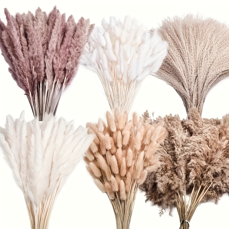 TEMU 320pcs Dried Pampas Grass Bouquet, Boho Table Decor, Bunny Tails Dried Flowers, Brown Pompas, White Pampas Grass For Wedding, Home, Day Gift, Rustic Party, Baby Shower Decorations