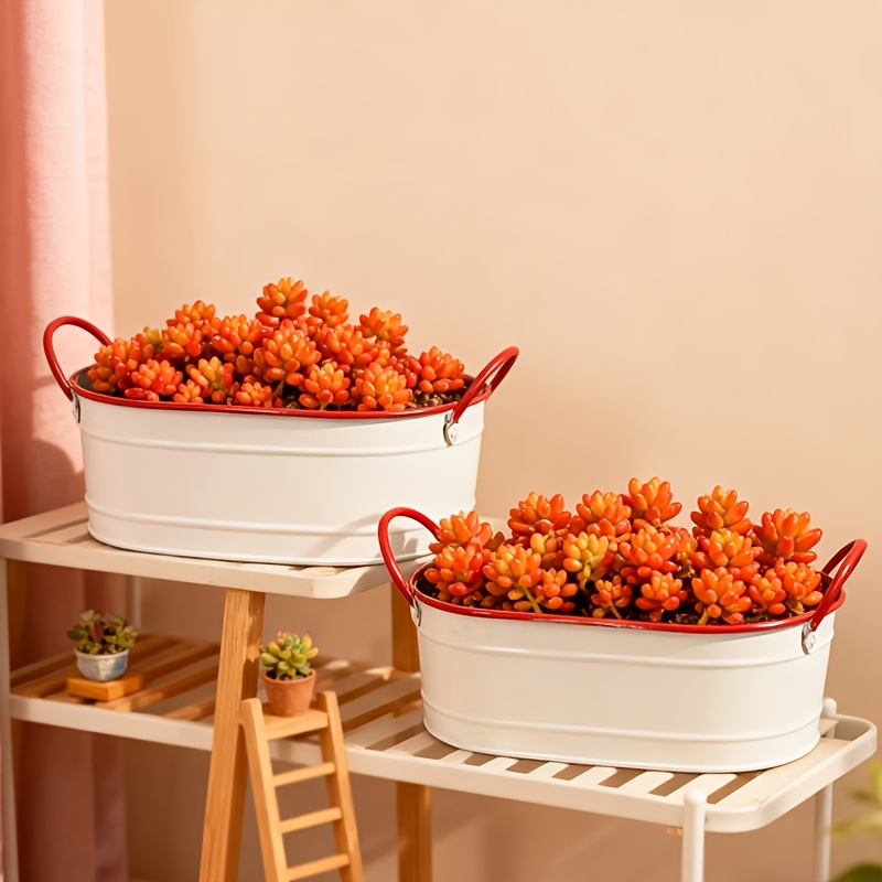 blumenkasten lechuza balconera Balconera balkonkasten mit Bewsserungssystem 80 cm  Balconyliving.de